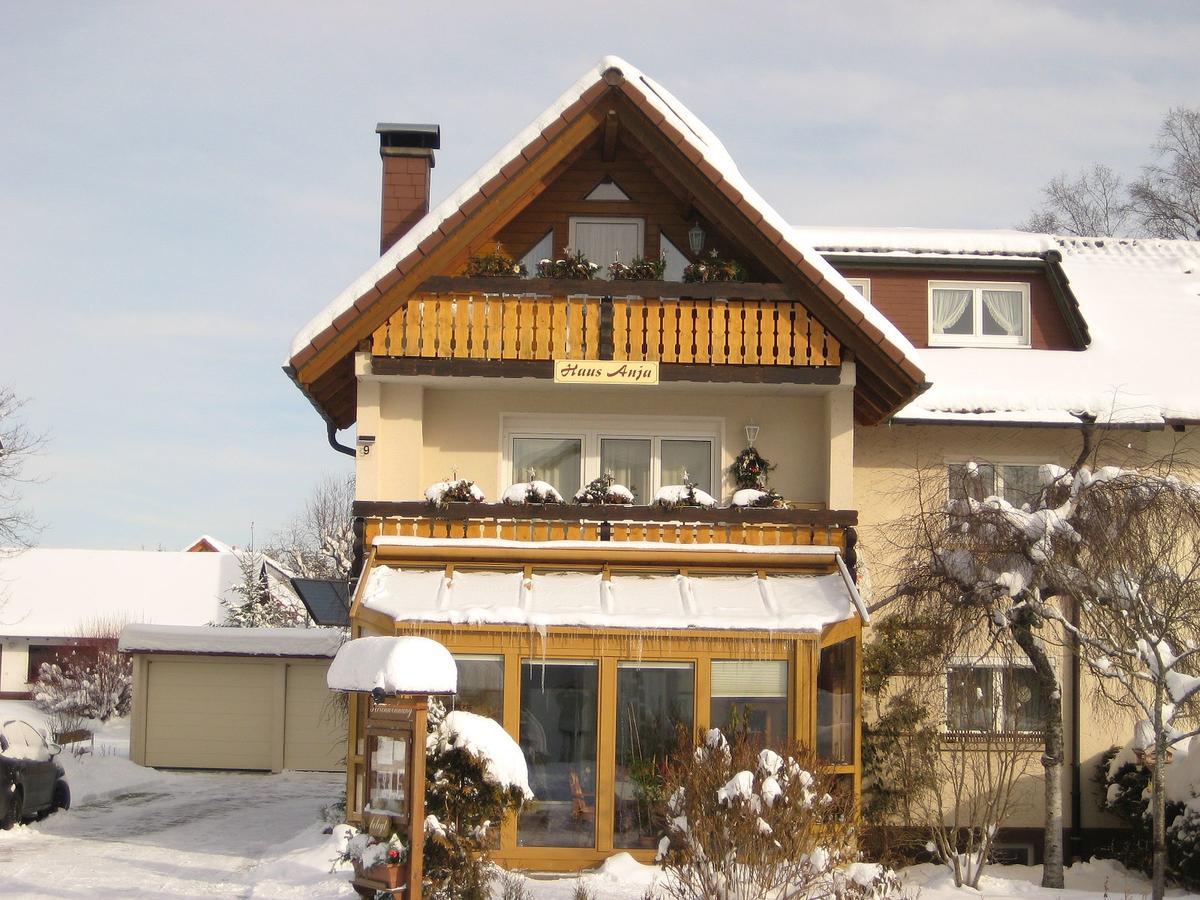 Апартаменты Haus Anja Титизее-Нойштадт Экстерьер фото